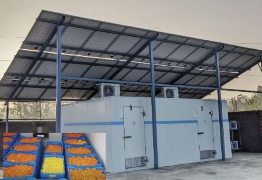Powering Livelihoods Supports Sustainable Cold-Storage Startups with Innovative Cleantech Solutions